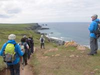 Kynance Cove - Lizard Point - Cadgwith