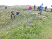 Kynance Cove - Lizard Point - Cadgwith