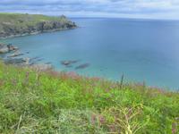Kynance Cove - Lizard Point - Cadgwith