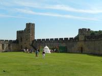 Wiese im Alnwick Castle, Drehort für den Crash mit den fliegenden Auto und der Peitschenden Weide