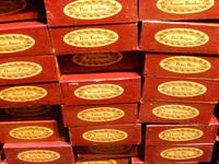 Warwick Davis (Professor Flitwick)