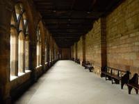 hier werden die drei Freunde von Professor Snape argwöhnisch ausgefragt