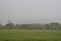 Folly in Mount Edgcumbe