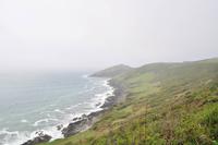 Rame Head