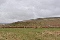 Hügelgrab, Dartmoor