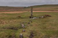 Steinreihe mit Menhir, Dartmoor