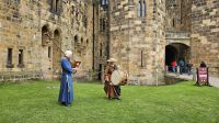 Alwnick Castle