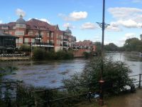 An der  Themse in Windsor
