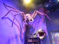Aragog