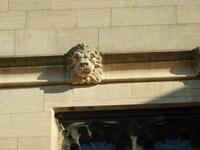 Aslan aus den 