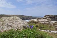 Auf nach Land's End