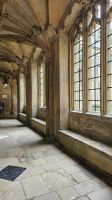 Christ Church College
