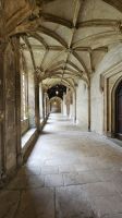 Christ Church College