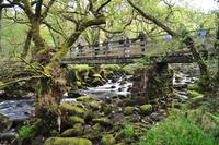 Dartmoor, River Plym