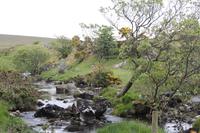 Dartmoor