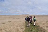 Dartmoor