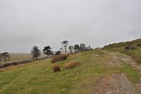 Dartmoor
