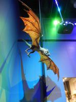 Drachenmodell