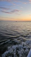 Fahrt in den Sonnenuntergang