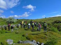 Im Dartmoor