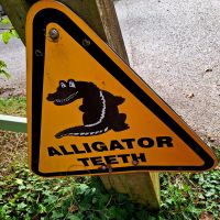 Lacock. Attention!