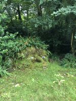 Liegender Riese - Suchbild - Lost Garden of Heligan