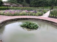 Lost Garden of Heligan