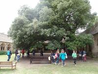 New College