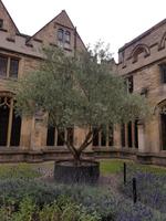 Oxford