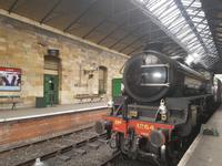 Pickering