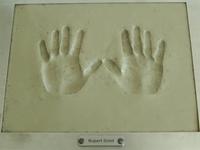 Rupert Grints Handabdrücke (Ron)