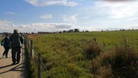 Stonehenge in Sicht