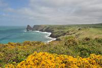 Tintagel