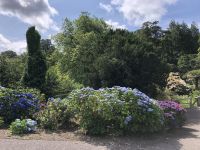 Trelissik Garden