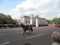 Wachablösung vor Buckingham Palace