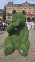 York