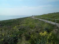 bei Dover