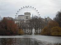 im St. James Park