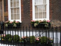 in Queen Anne`s Way