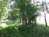 038 Matsalu Nationalpark