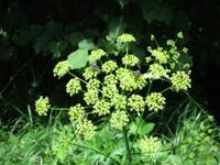 044 Matsalu Nationalpark