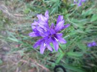 045 Matsalu Nationalpark