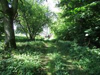 046 Matsalu Nationalpark