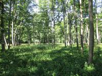 048 Matsalu Nationalpark