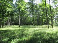 049 Matsalu Nationalpark