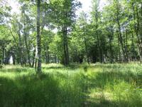 051 Matsalu Nationalpark