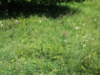 054 Matsalu Nationalpark