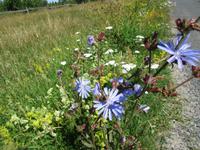 055 Matsalu Nationalpark