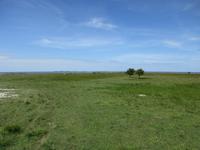 064 Matsalu Nationalpark