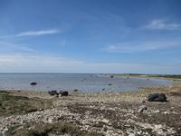 065 Matsalu Nationalpark